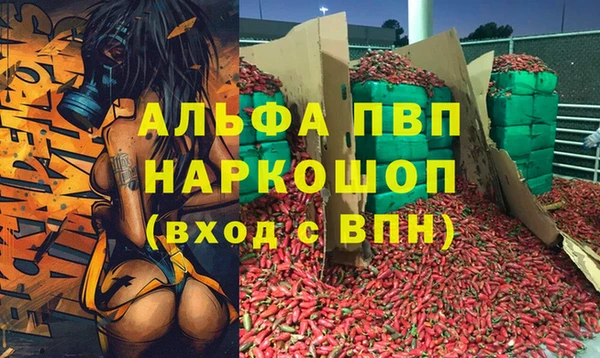 PSILOCYBIN Надым