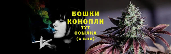 PSILOCYBIN Надым