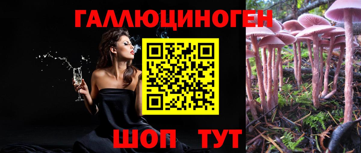 Галлюциногенные грибы GOLDEN TEACHER Кыштым